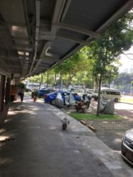 Blk 34 Whampoa West (Kallang/Whampoa), HDB 3 Rooms #129662832